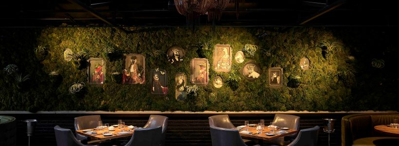 BOKA, a Michelin-recognized contemporary restaurant in Lincoln Park, Chicago